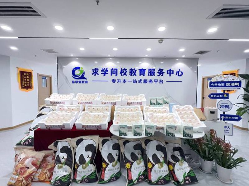 职业规划咨询